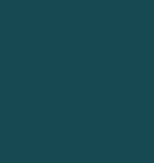 Cushion F+H Velvet Plain Deep Teal