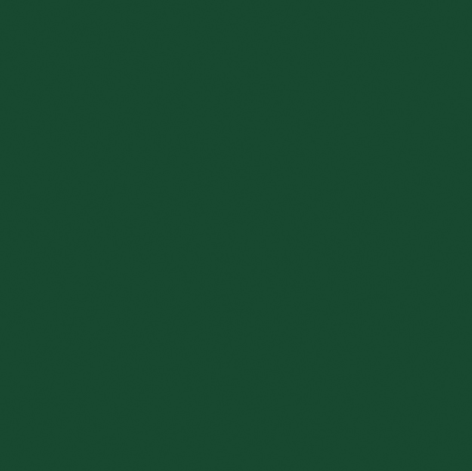 Cushion F+H Velvet Plain Emerald Green 45x45cm