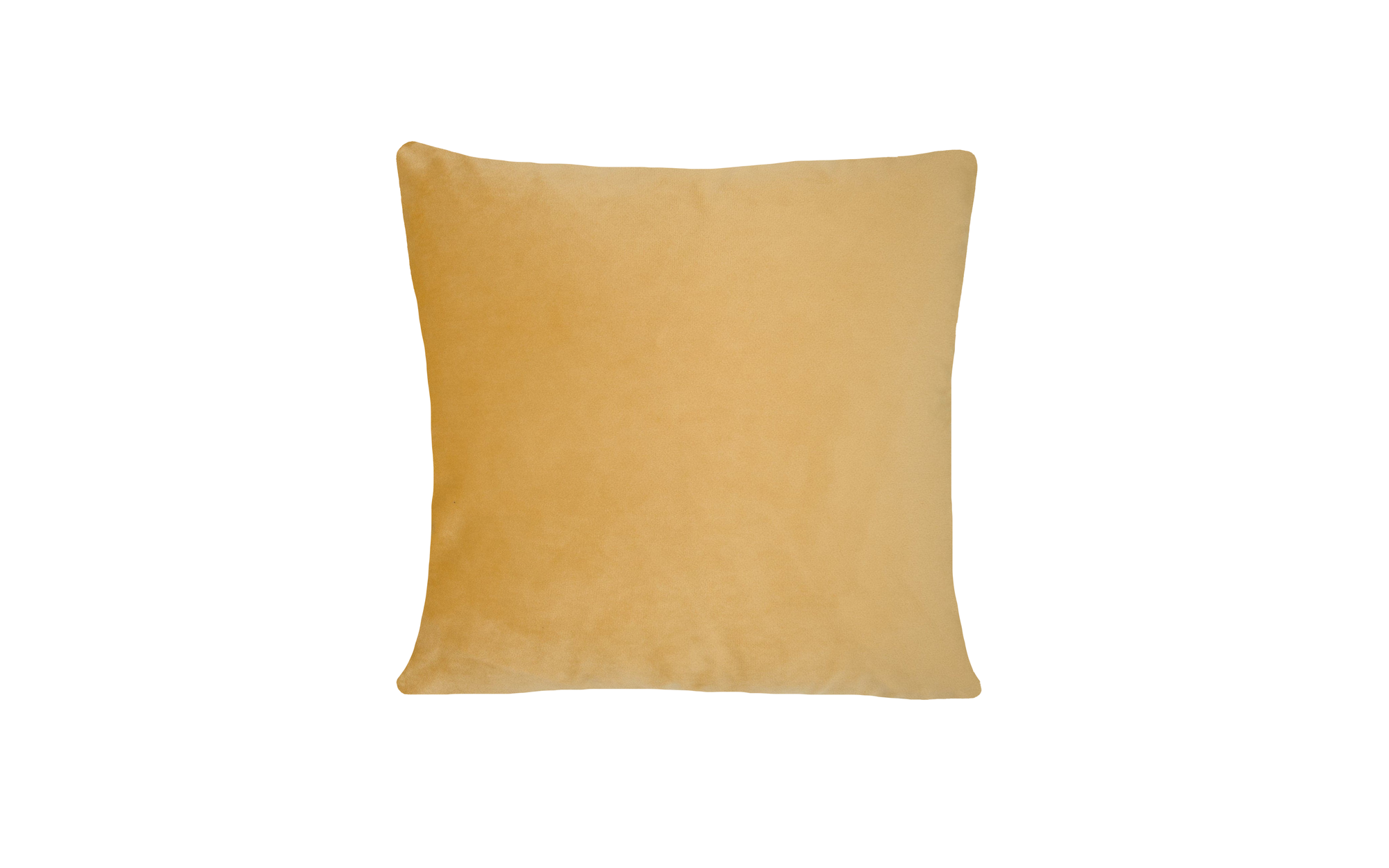 Cushion Velvet Piped Soft Gold - Fervor + Hue