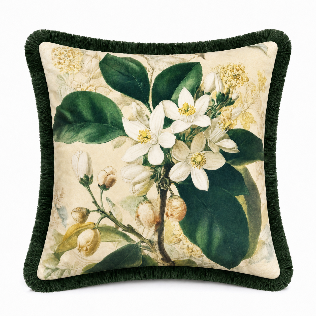 Cushion F+H Velvet Tree Blossom Cream Available Early Oct