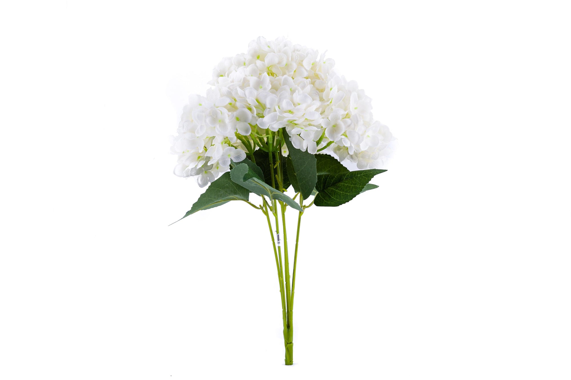 Hydrangea Bunch Soft White - Fervor + Hue