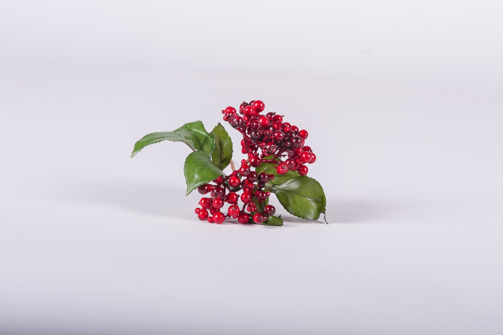 Berry Cluster Red - Fervor + Hue